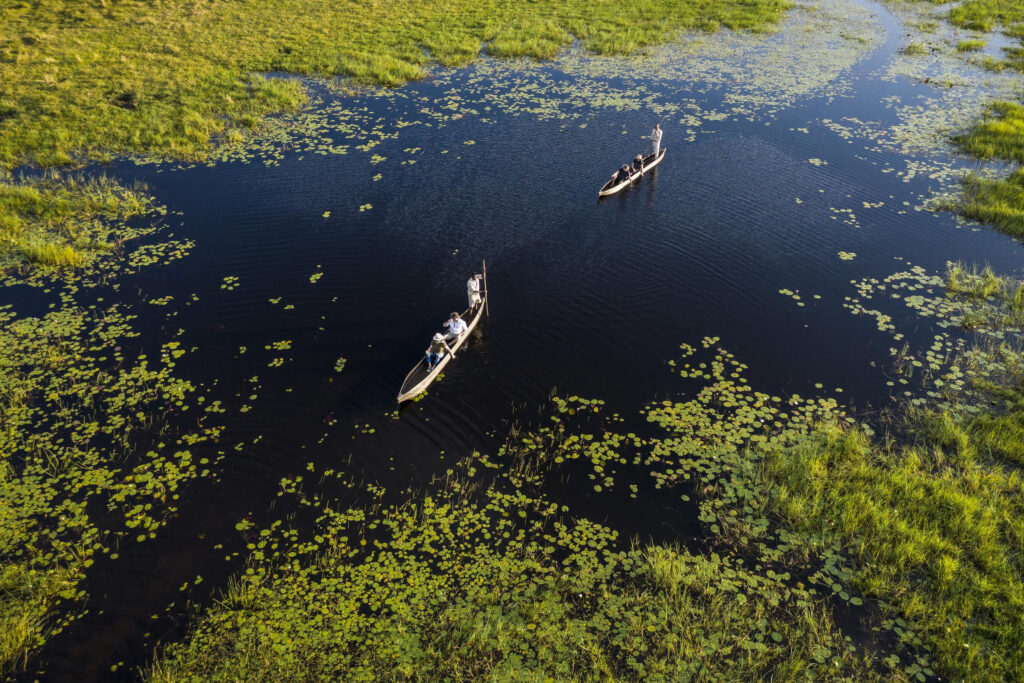 okavango delta canoe safari