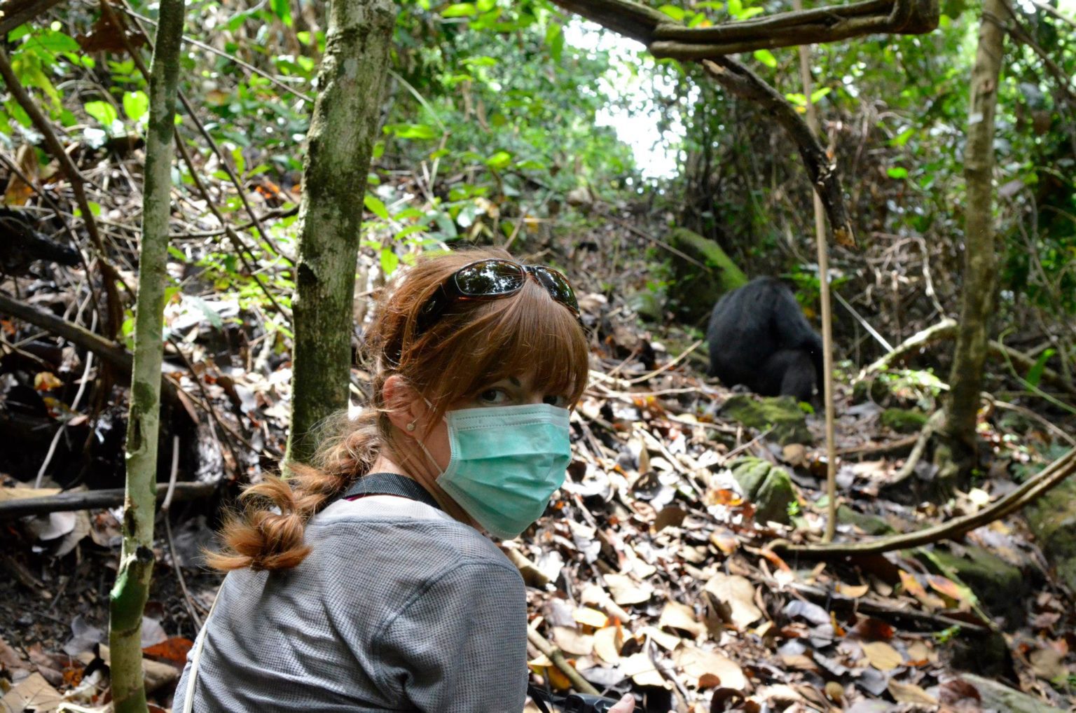 Kim in mask observing chimpanzees in Mahale Mountains