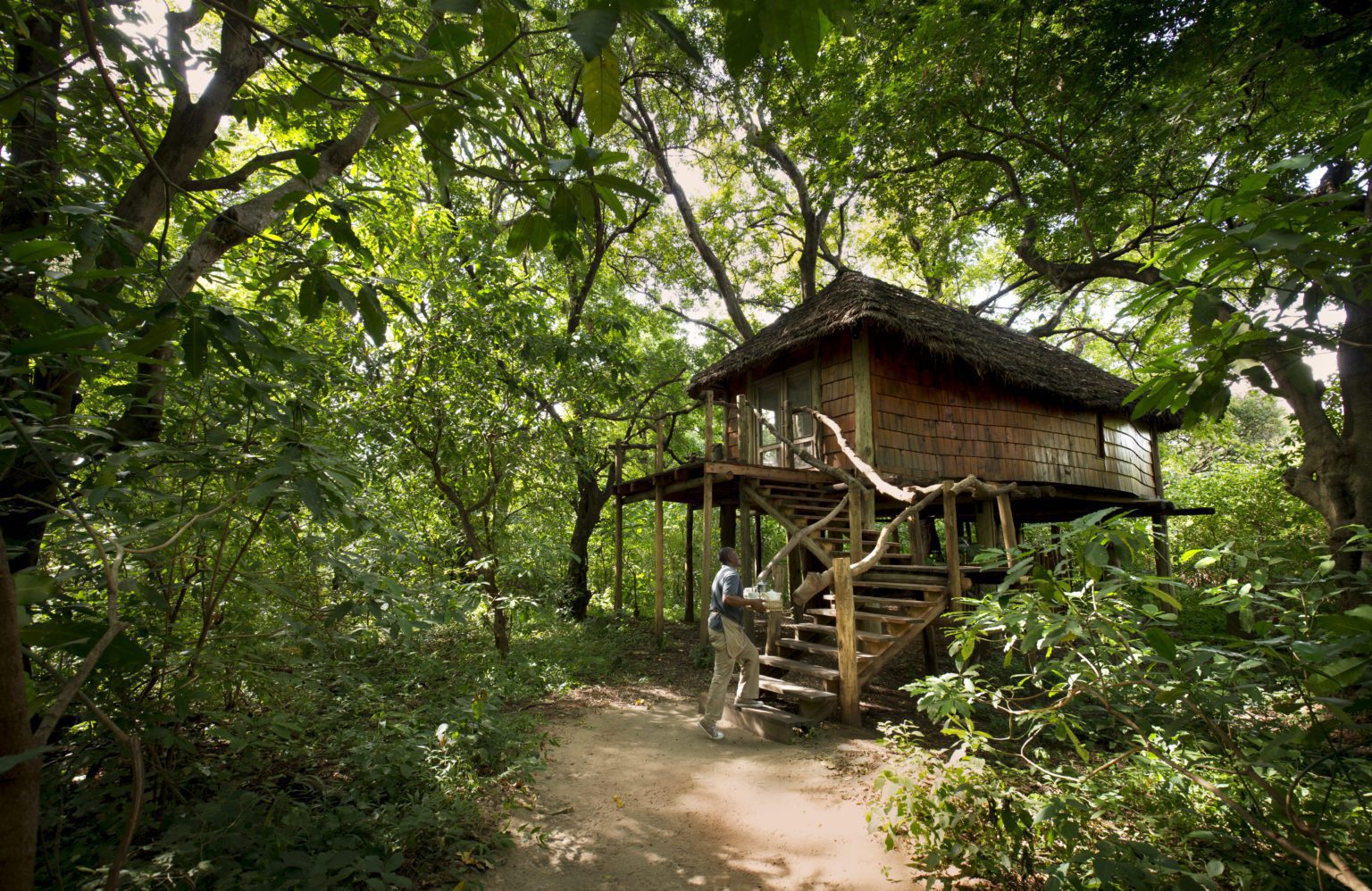 Robinson Crusoe tree house suite built up on a wooden deck on stilts and nestled under a canopy of trees, staff member carrying a tray up the stairs