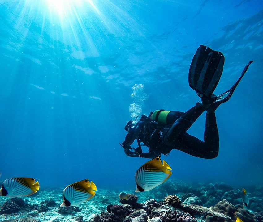 Mozambique scuba diving