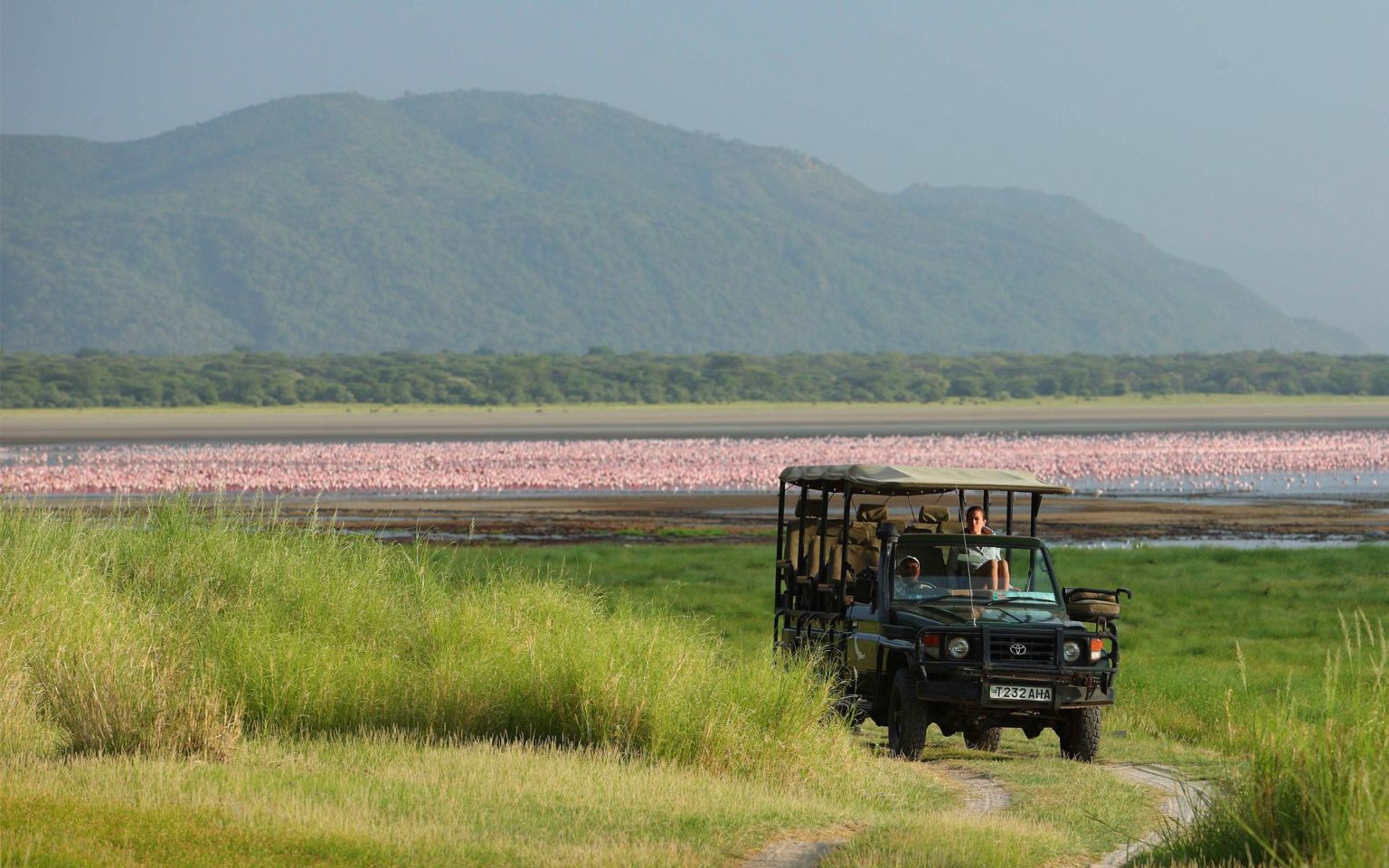 safari vehicle driving away from Lake Manyara fully covered by pink flamingos with the escarpment in the distance