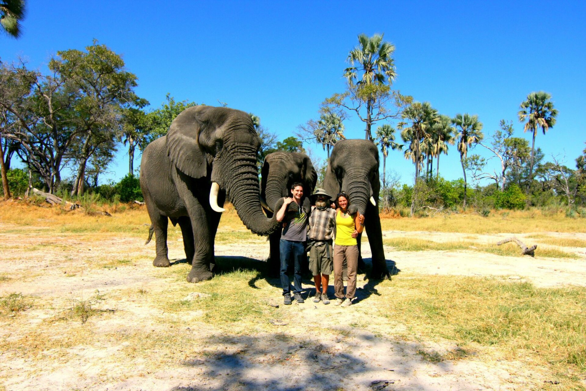 a couple experiencing an elephant interaction safari in okavango delta