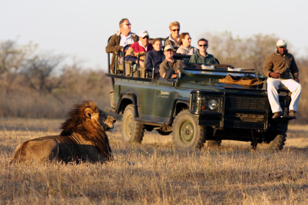 game drive in kruger