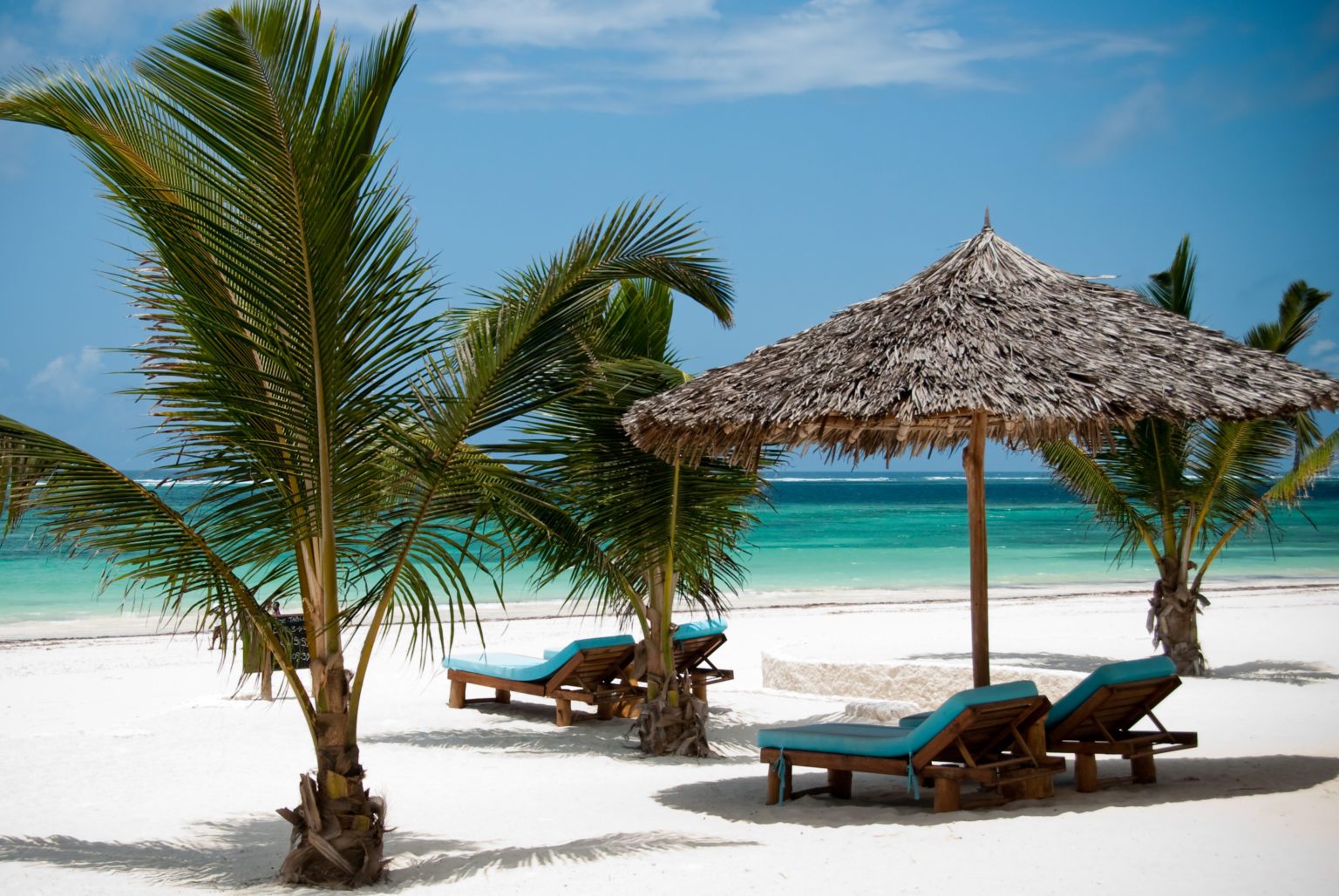 white sandy beaches with loungers, palm umbrellas and palm trees