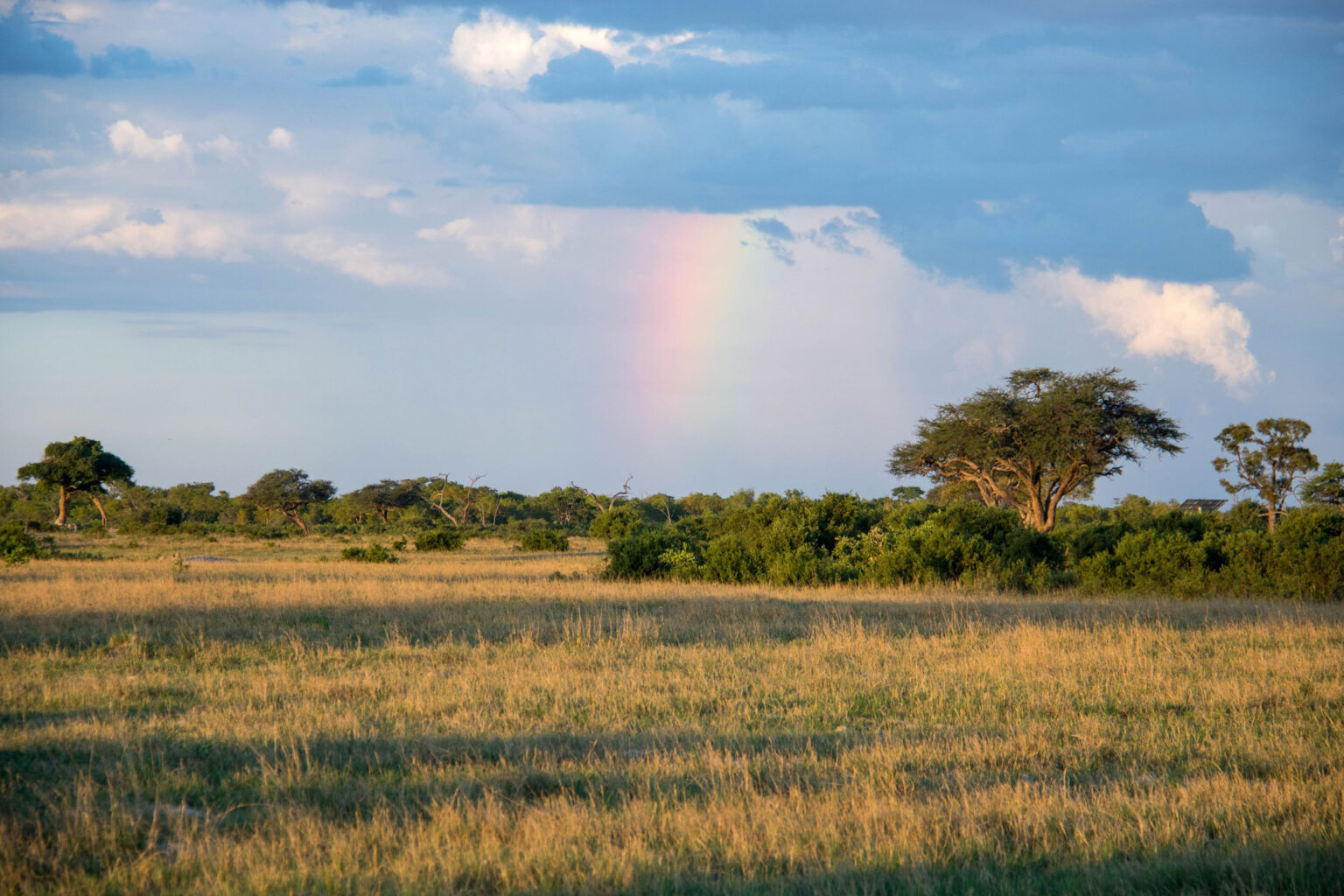 zimbabwe hwange national park landscape
