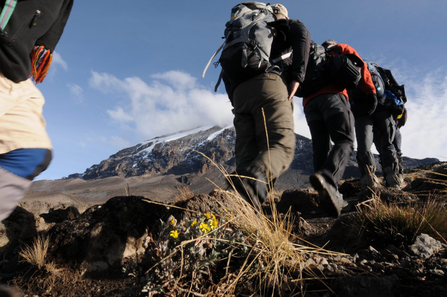Hikers Climbing Mt Kilimanjaro with the summit in background on hiking and climbing vacation
