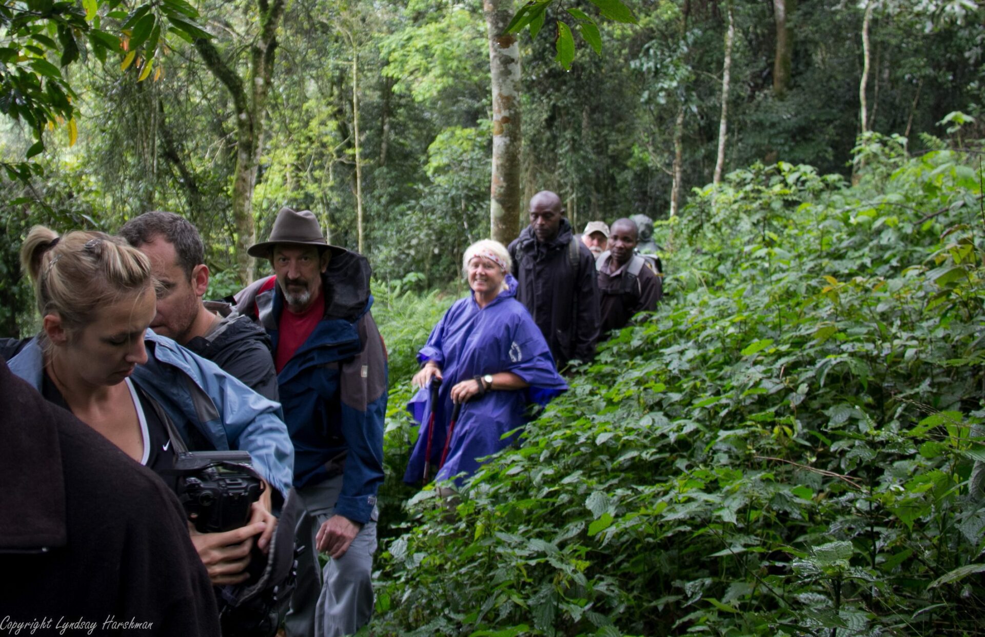 people walking on a trail through the forest in Bwindi.