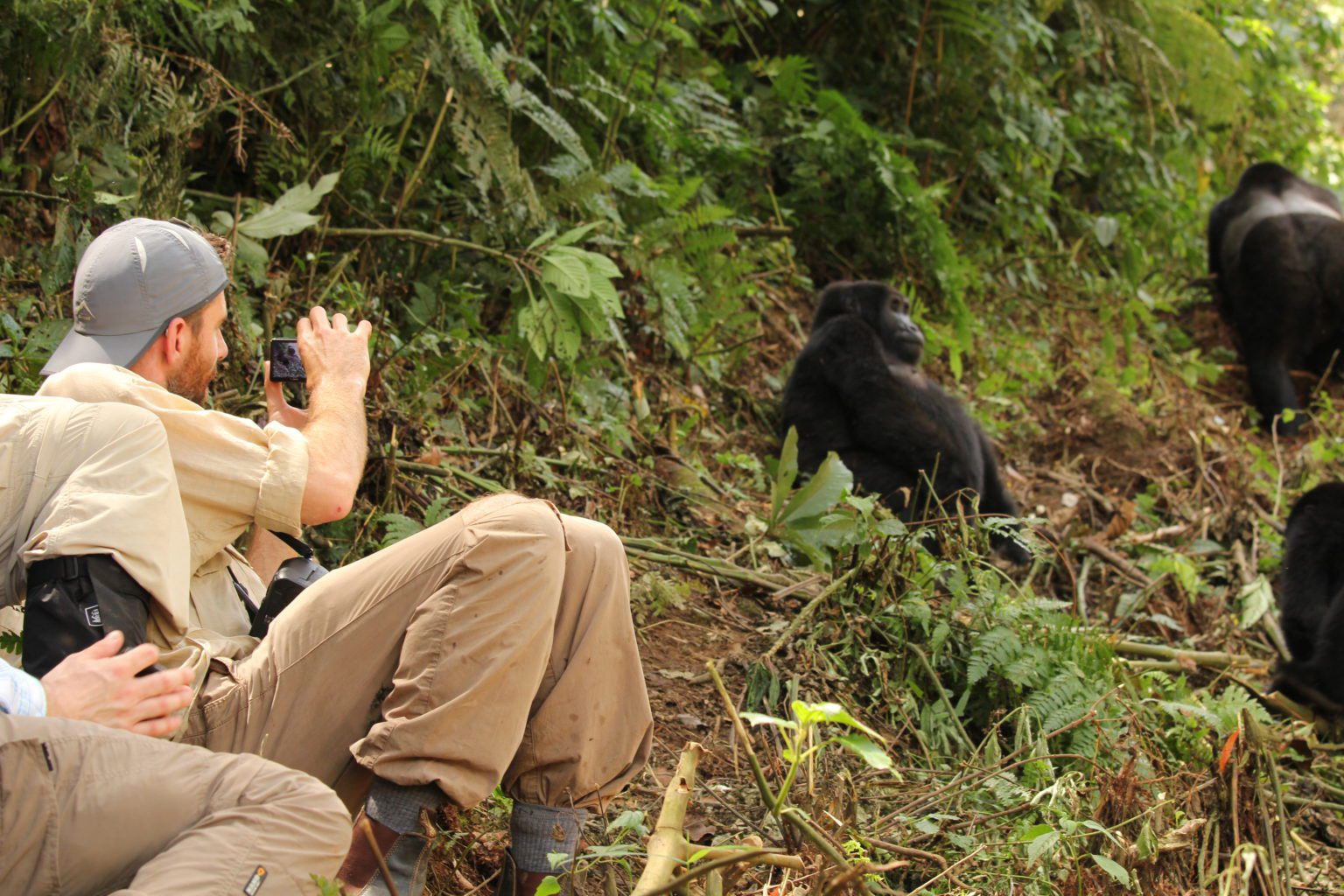 two people sitting against a hill taking a photo of a gorilla on our best Uganda safari
