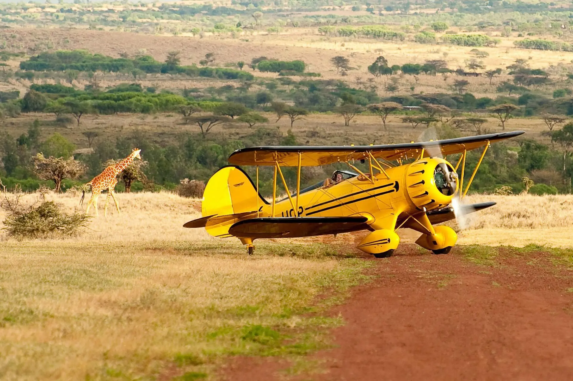 Kenya Luxury Safaris, Yellow Biplane on the Runway in Lewa, Kenya
