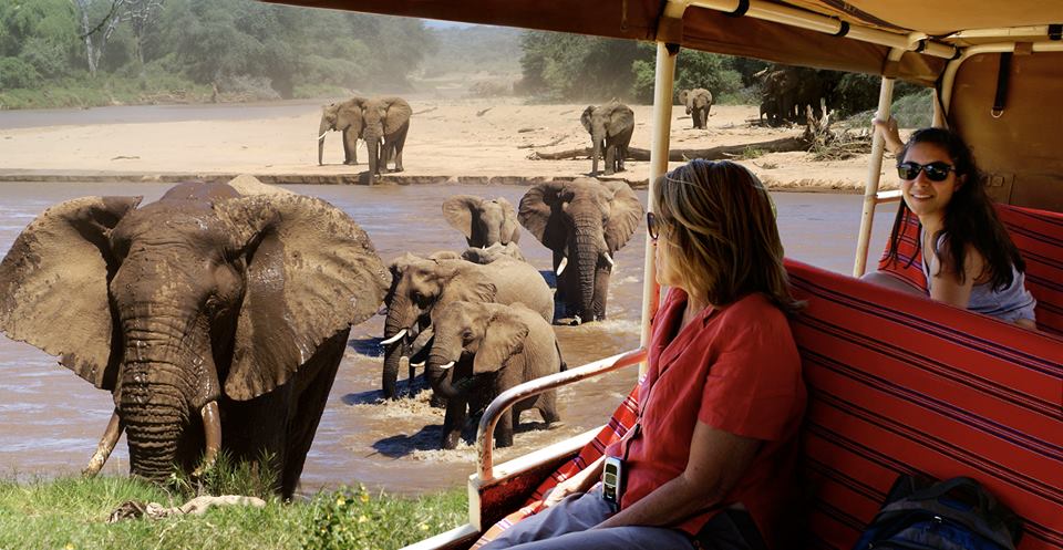 Elephant Conservation Safari to Kenya, Elephants at Elephant Watch Camp, Game Drive