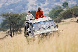Why Use a Regional Travel Specialist?, Game Drive