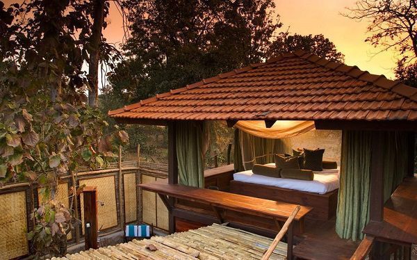 Seeking Safari in India, Luxury Accommodation