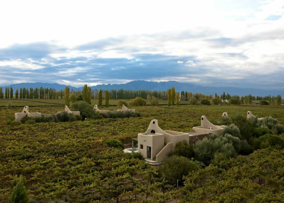 The view from cavas vineyard, with rooms dotted along vineyards