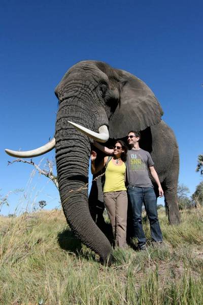 Walking with Elephants in Botswana, Dania and Matt with Jabu
