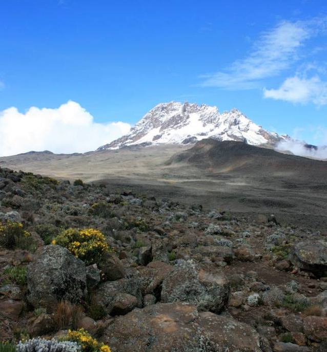 Climbing Kilimanjaro, Snow Capped Mountain