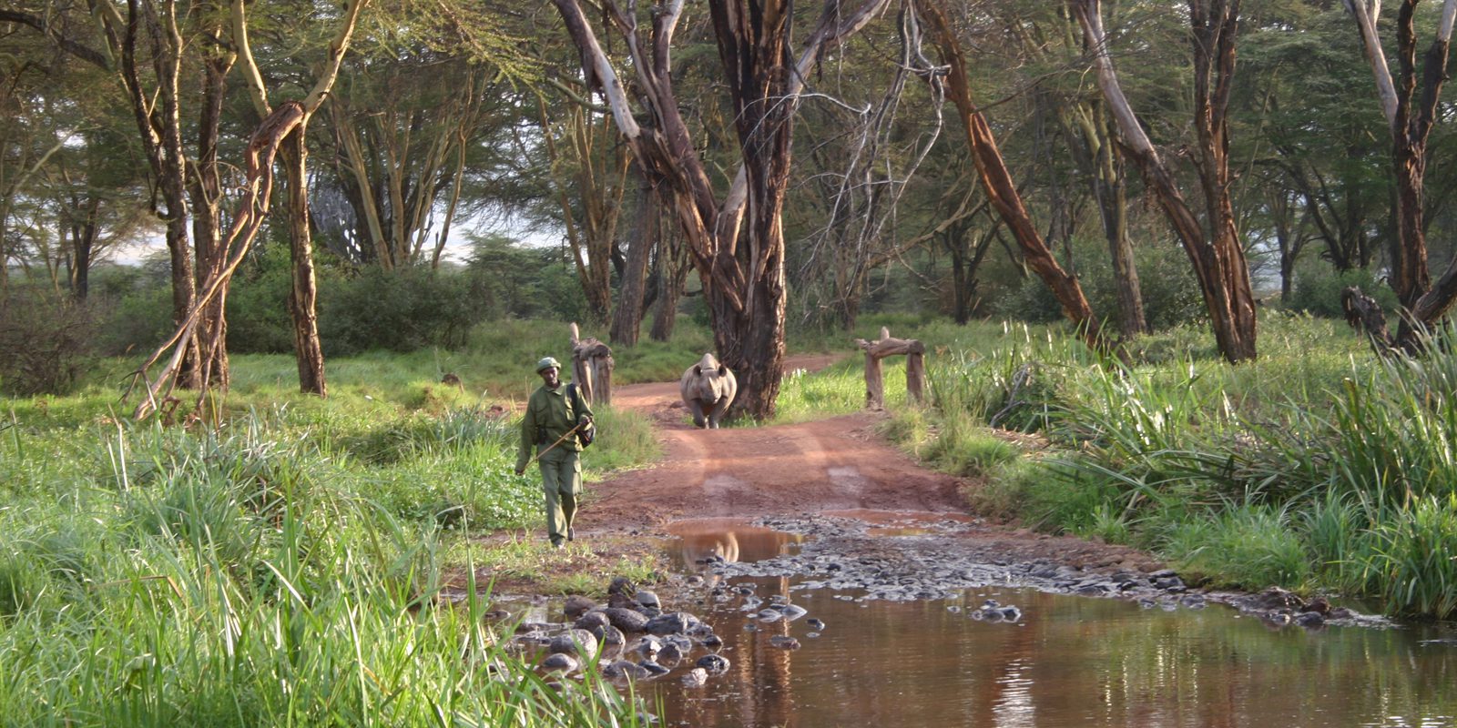 Elephant Conservation Safari to Kenya, Lewa Ranger and Rhino