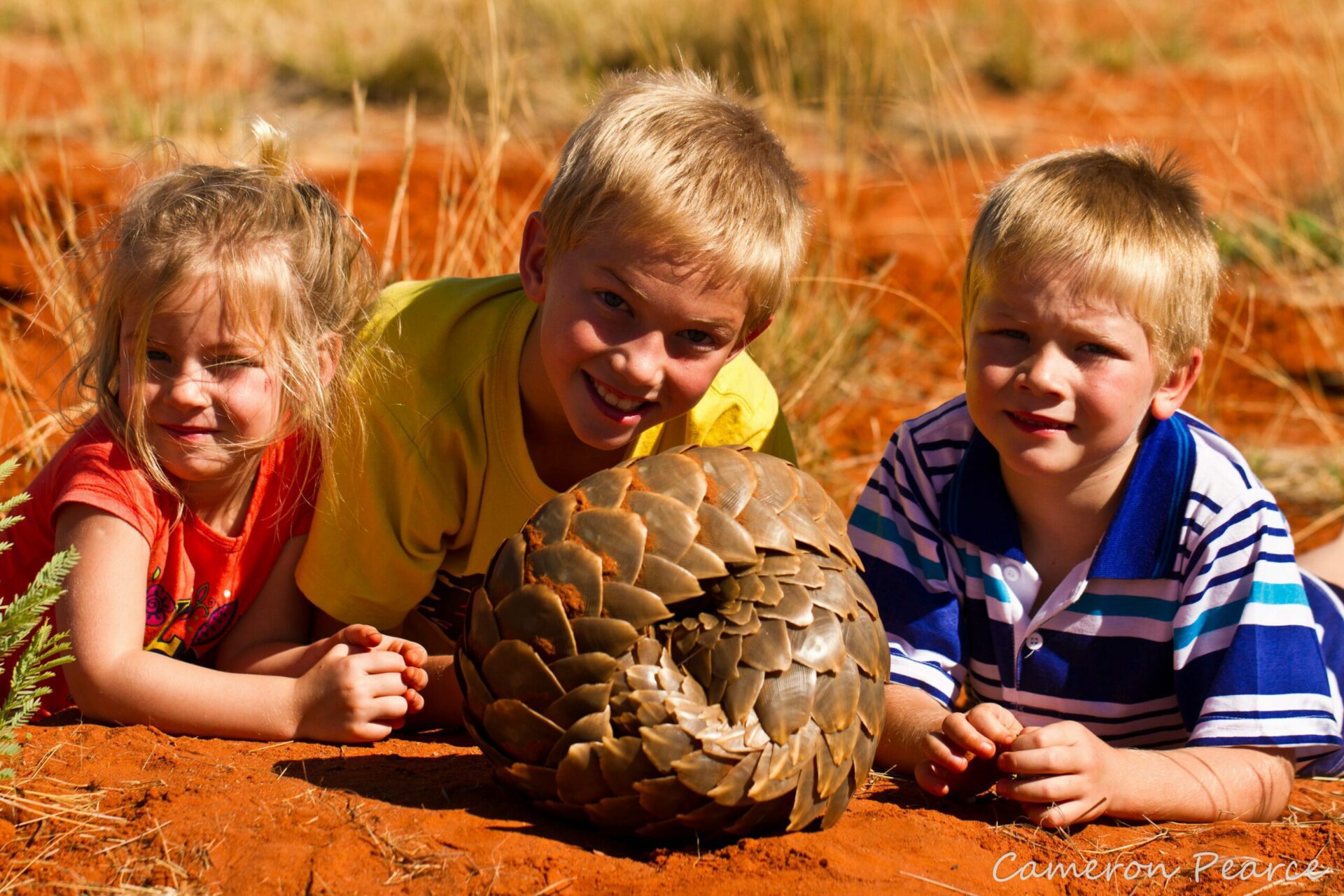 three young kids lay on the red clay while looking and posing at a pangolin at tswalu