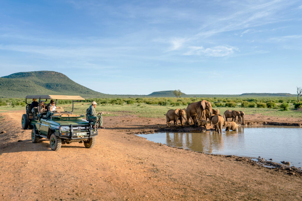 Observing elephants at a watering hole in Madikwe Game Reserve