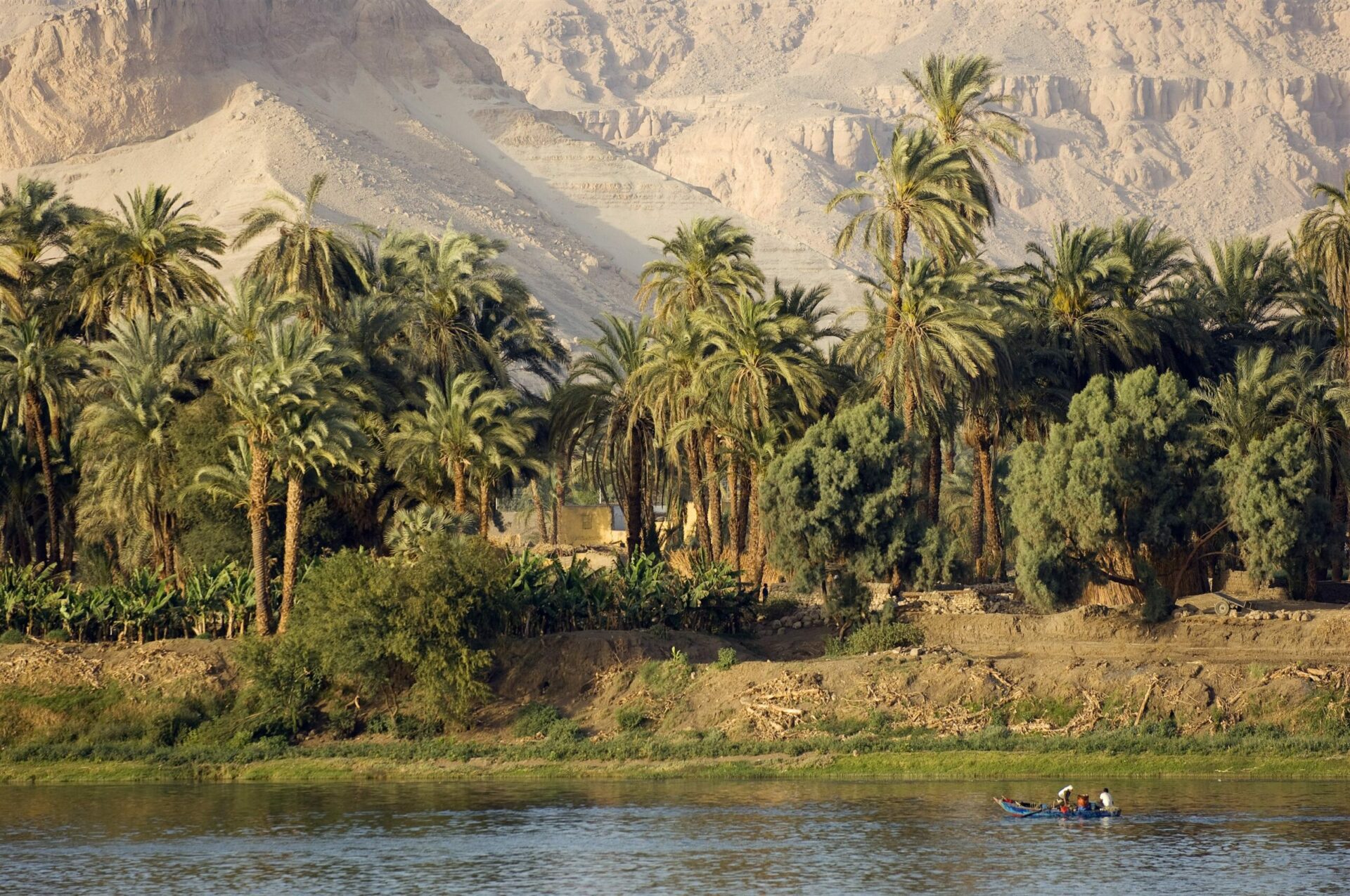 Nile Valley with oasis in foreground and mountains in background on Egypt safari