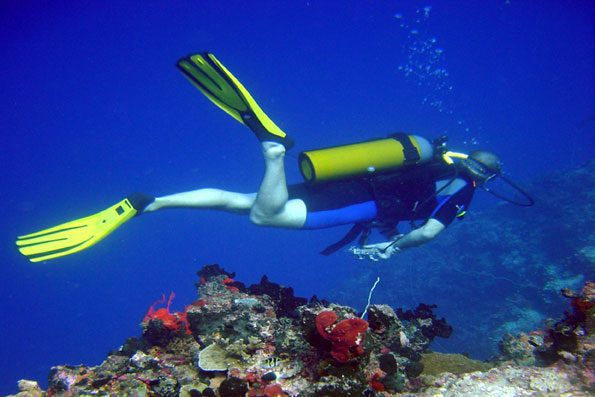 Zanzibar 101: Must-Do Activities, Diving