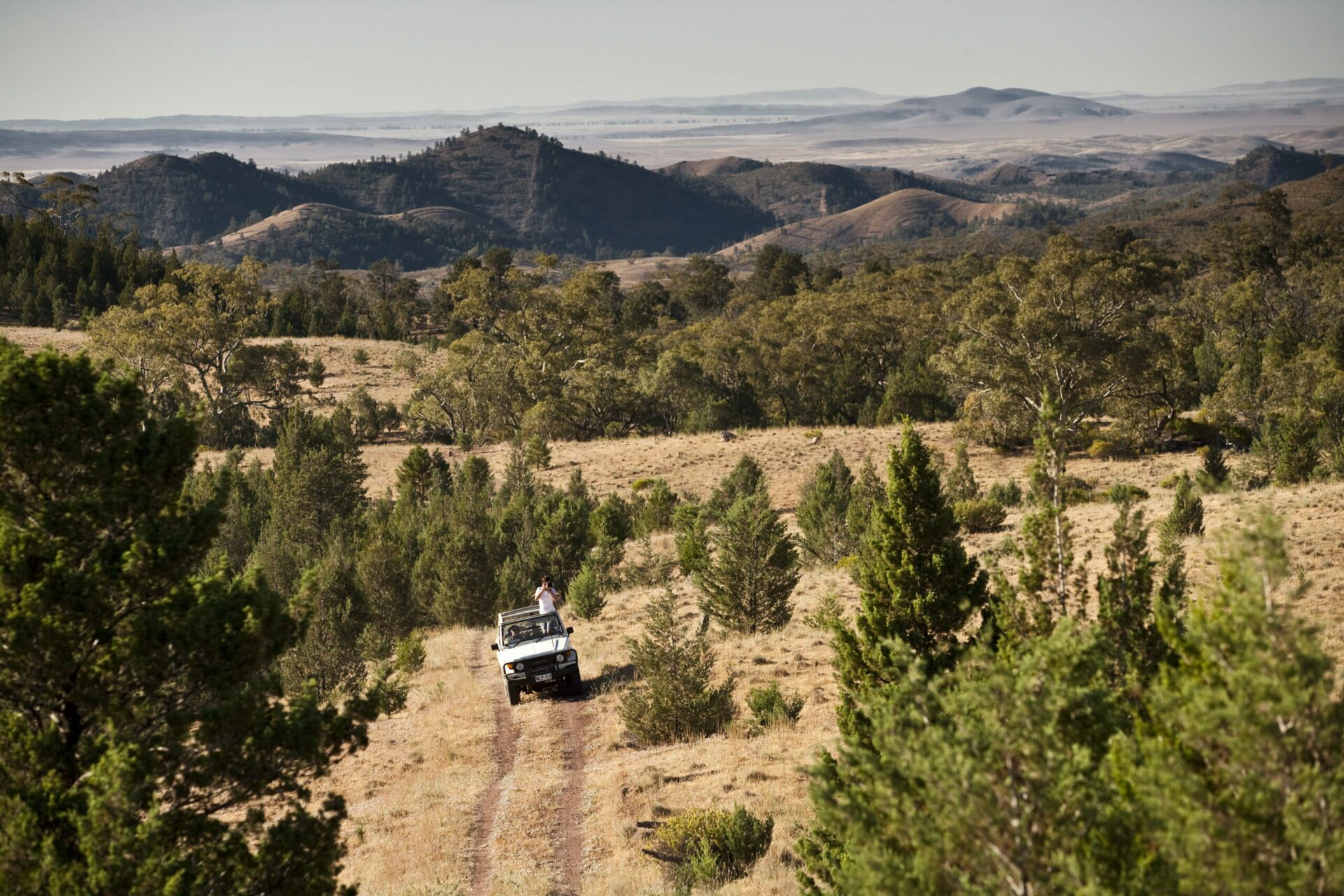 Game Drive at Arkaba seen on south Australia holiday