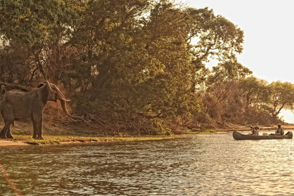 Get Involved! Zimbabwe Conservation Safari, Canoe on the River Viewing an Elephant