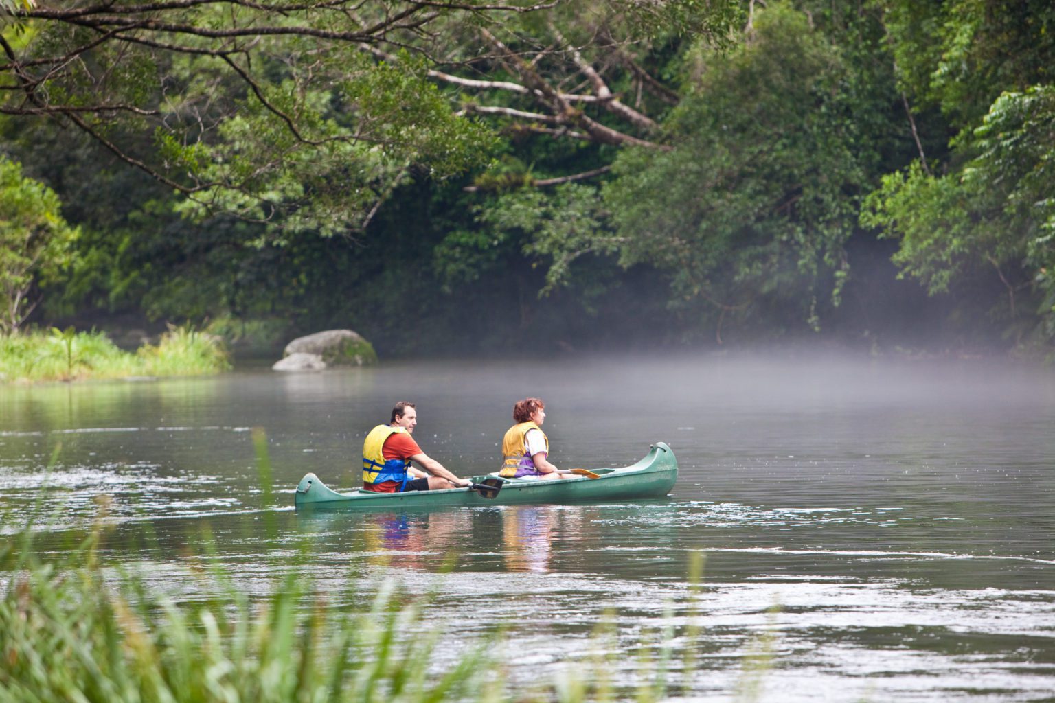 canoeing on safari through the misty Daintree Forest from Silky Oaks