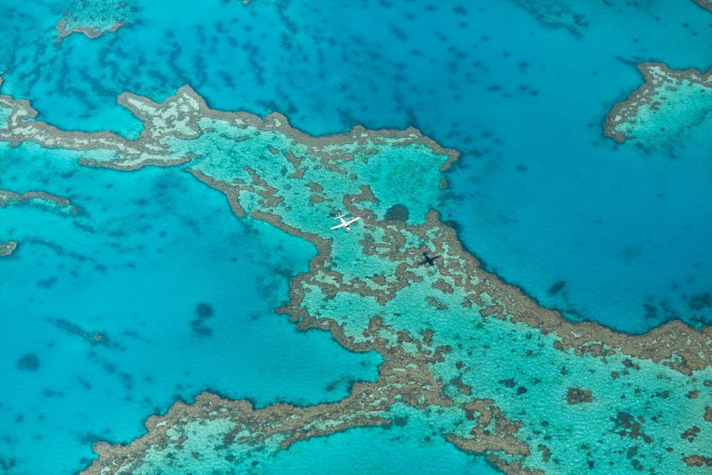 Birds eye view of a sea plane flying over the Great Barrier Reef