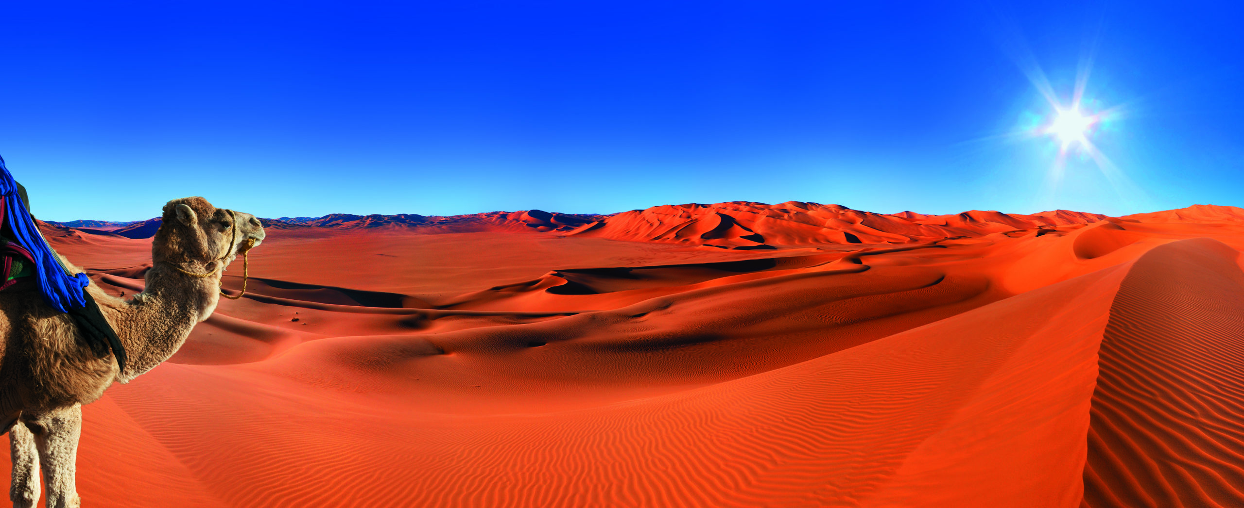 Sahara Desert Morocco путешествие