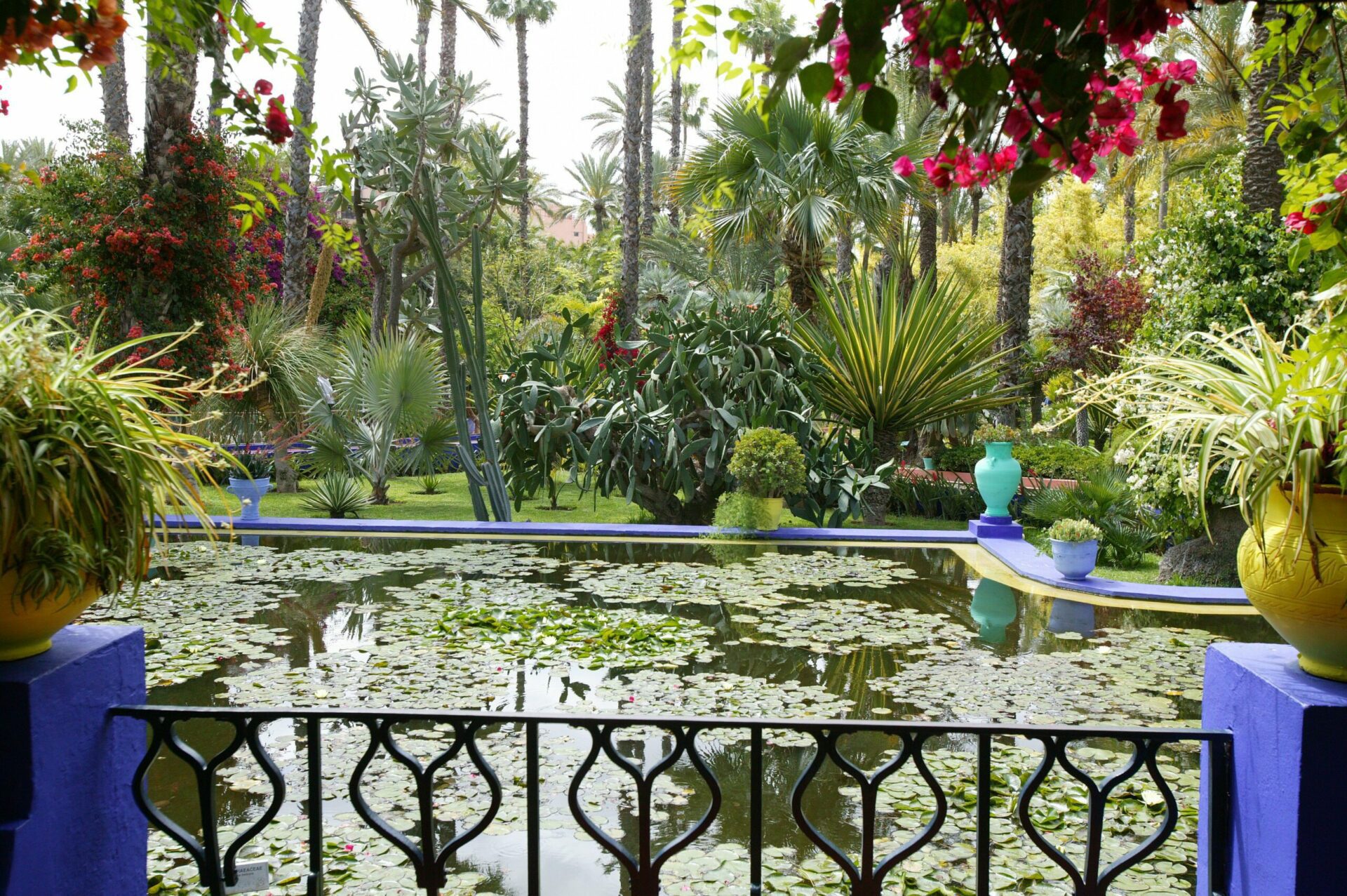 Jardin Majorelle Marrakech
