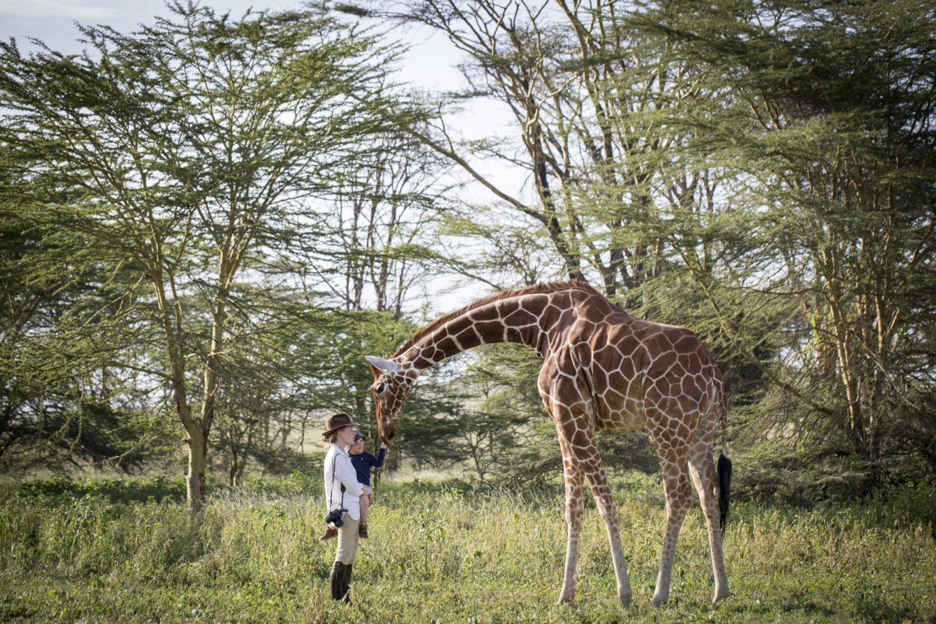 Kenya Luxury Safaris, Protecting Kenya: A Luxury Conservation Safari, Woman standing in an open field with a Giraffe in close proximity on safari in kenya