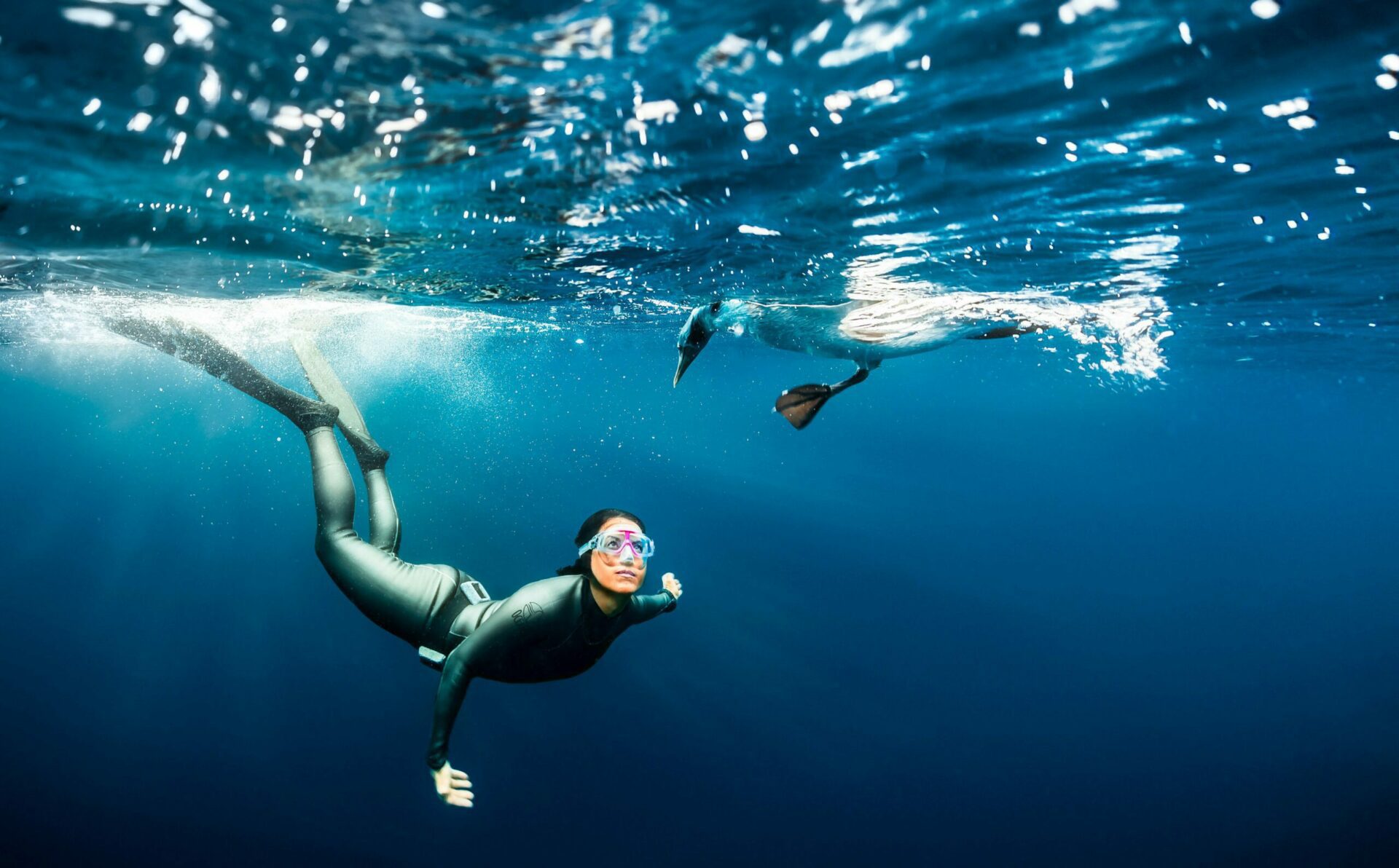 woman freediver beneath the water looking up at a penguin who's head has dipped below the water