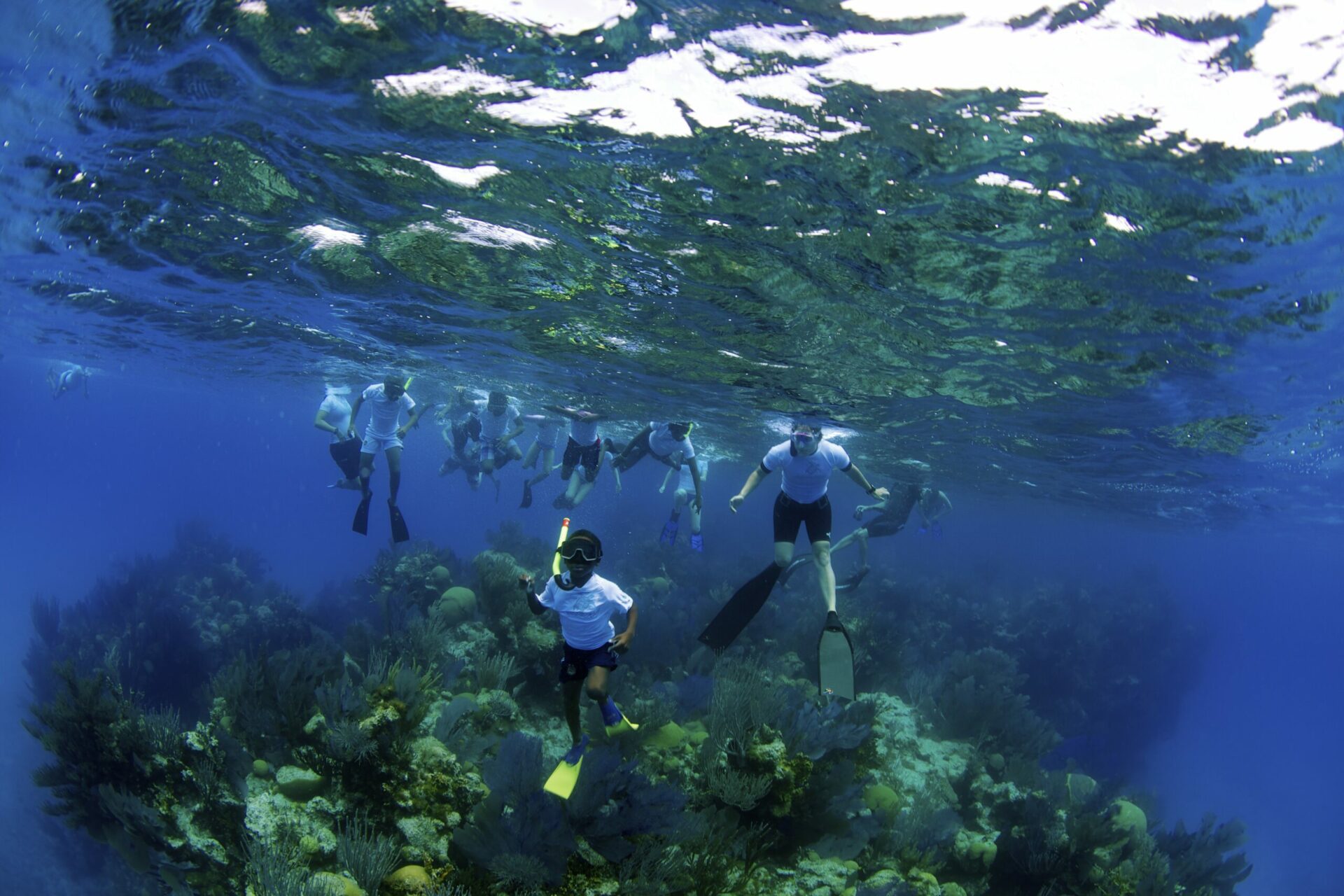 a group of kids in fins below the water learning to freedive
