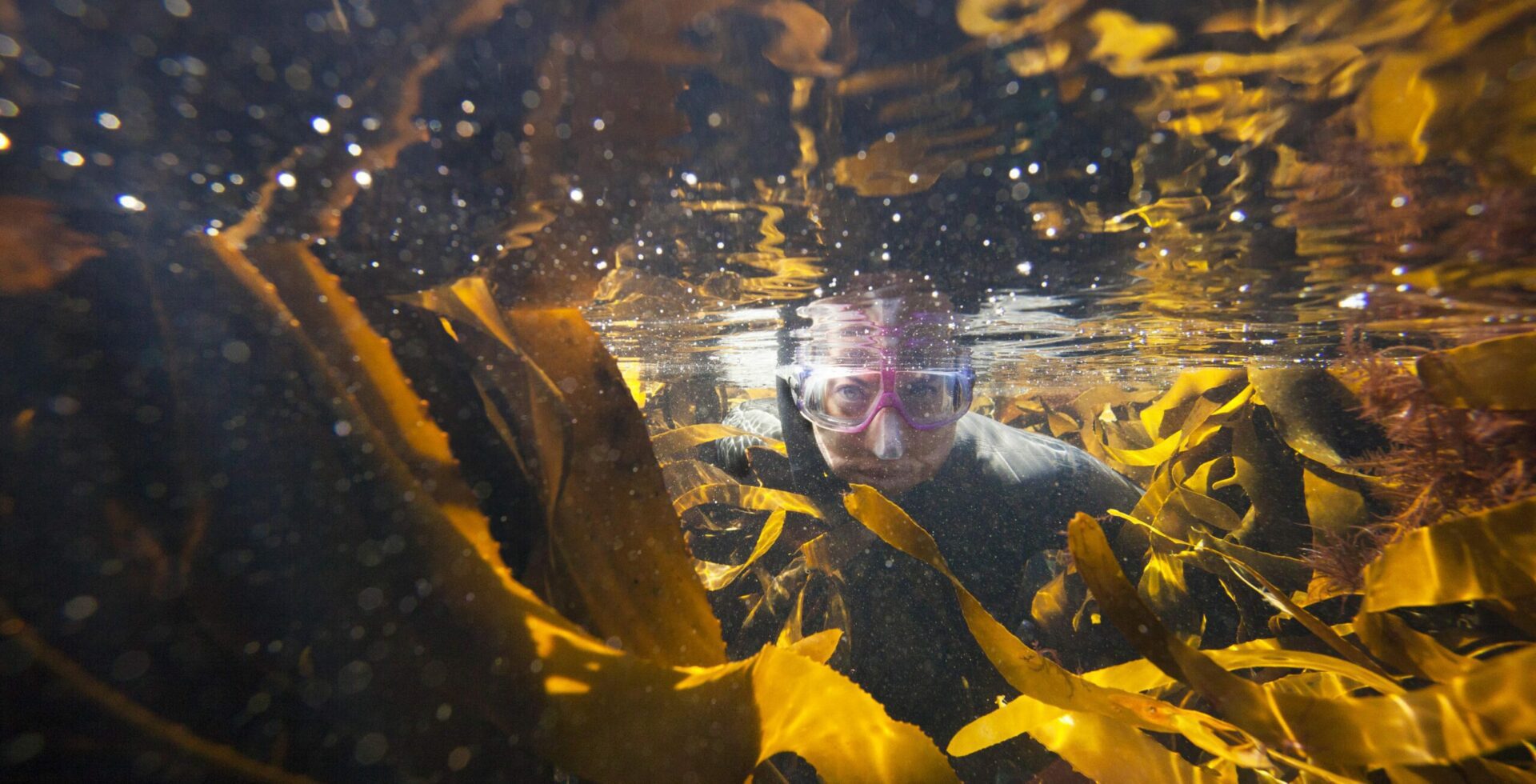 woman with a snorkel seen through a kelp forest