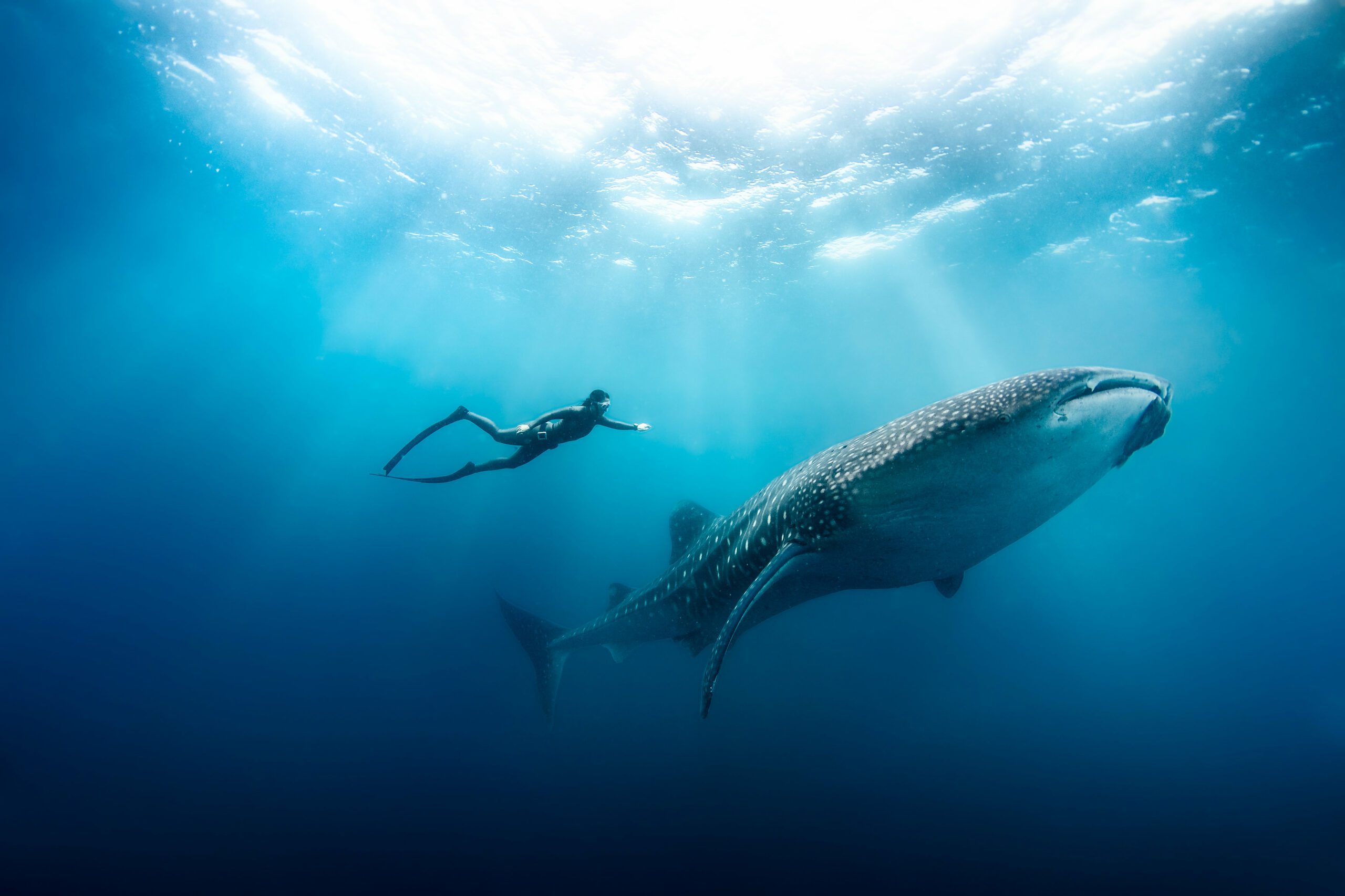Freediving Q&A With I AM WATER Foundation's Hanli Prinsloo