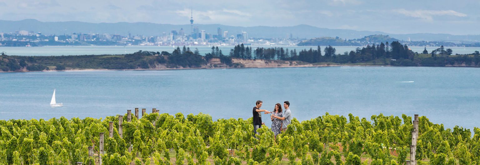 A couple enjoys a wine tasting in a vineyard on Waiheke Islands with views of Auckland in the background