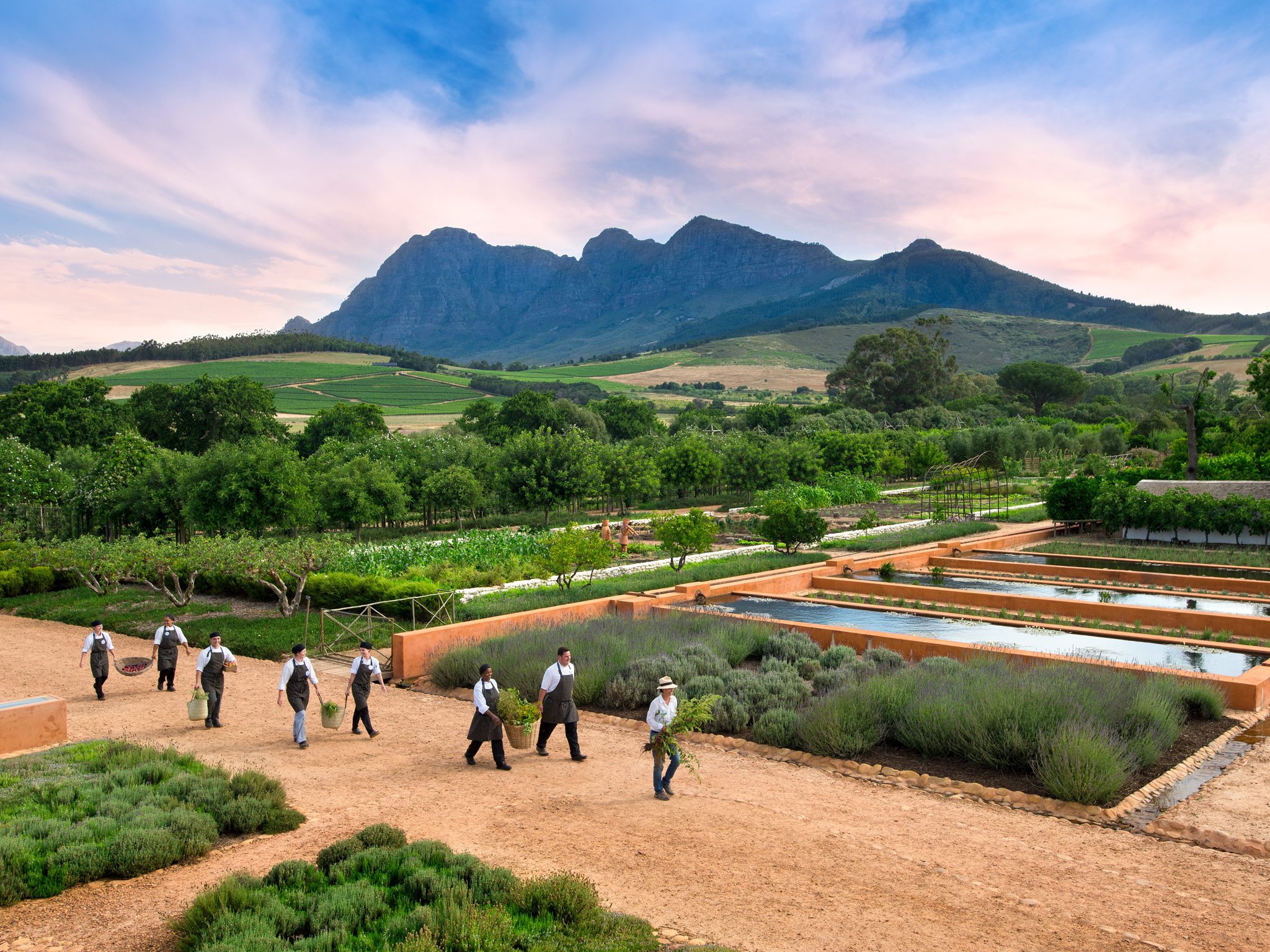 The Cape's Best Wineries - A Local's Guide, Babylonstoren, Daily Tour