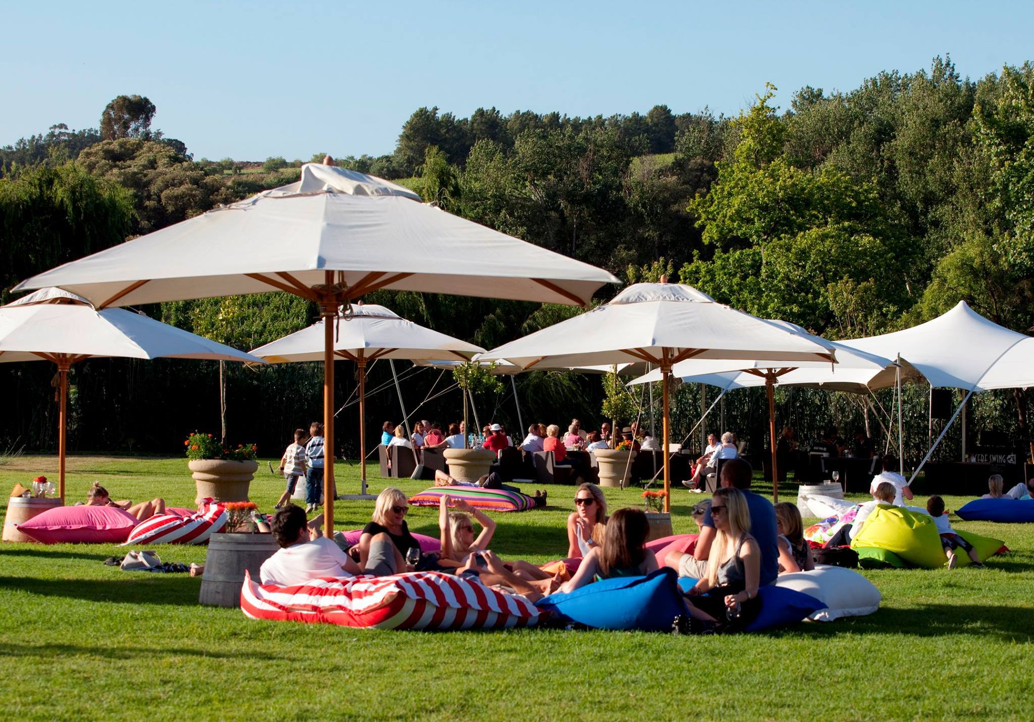 The Cape's Best Wineries - A Local's Guide, People Picnicking