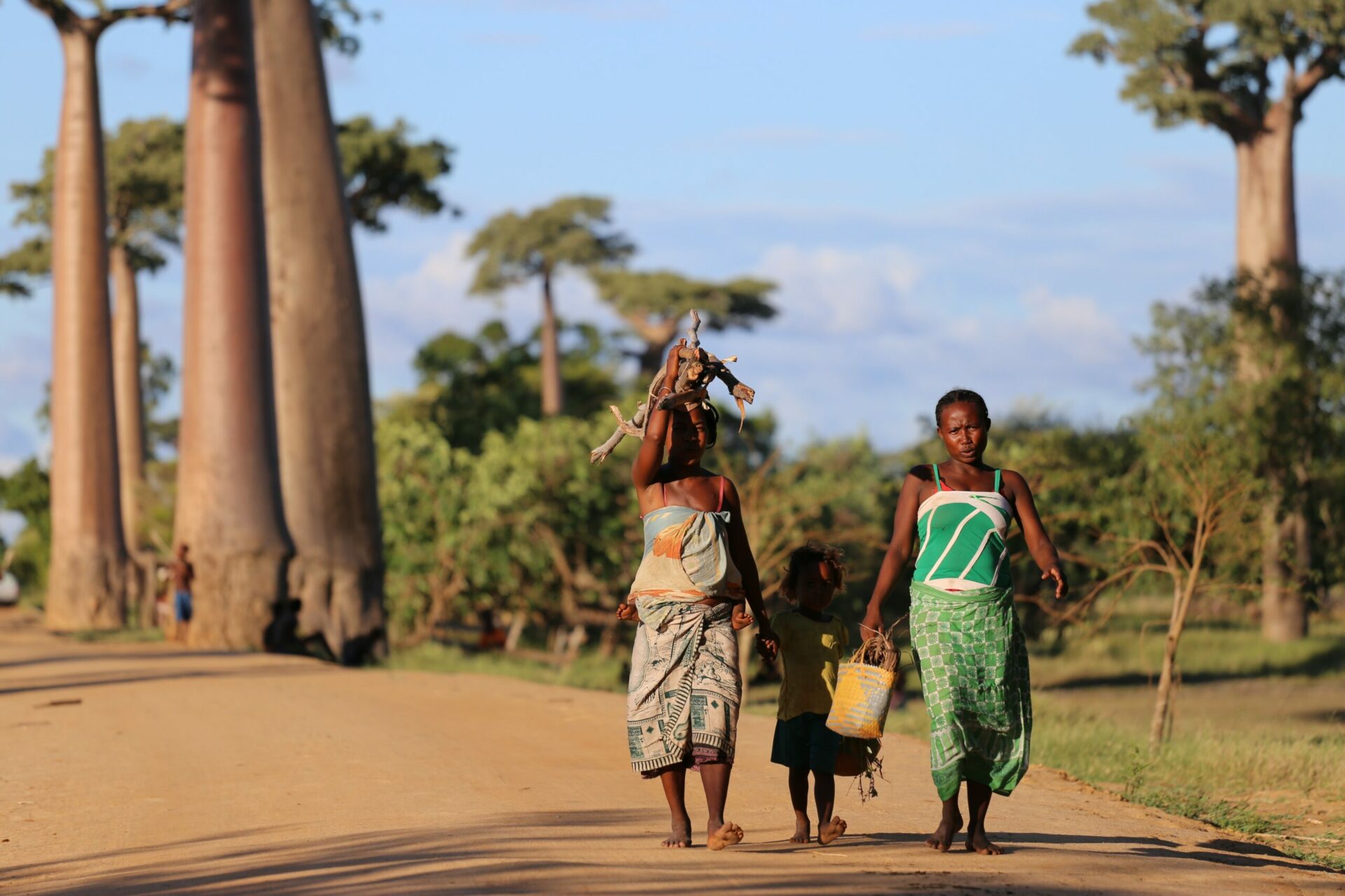Madagascar, three local people walking on a dirt road with towering boabab trees seen on safari in Madagascar