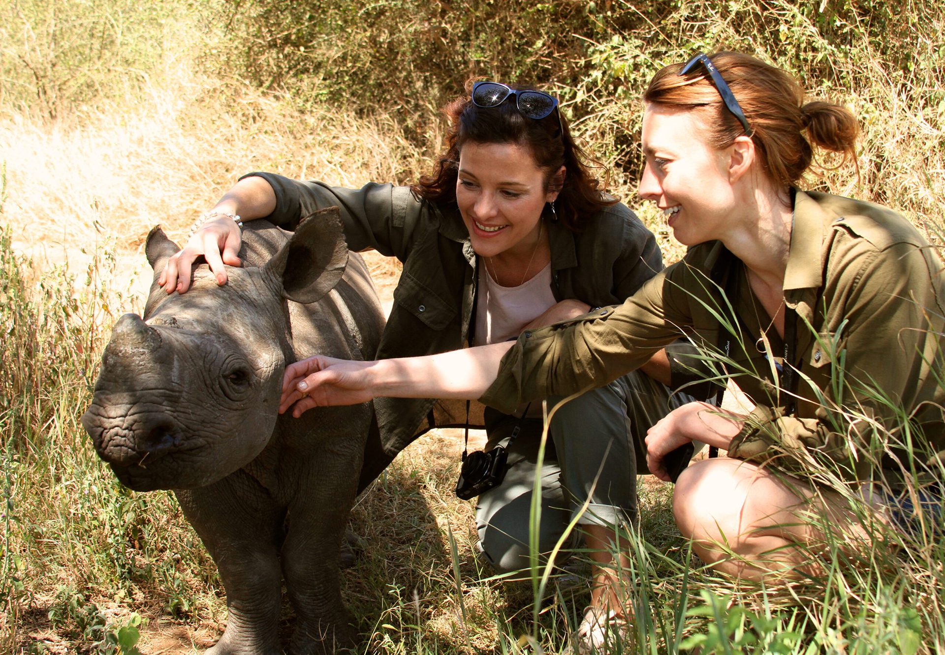 two women petting a baby rhino in a field.