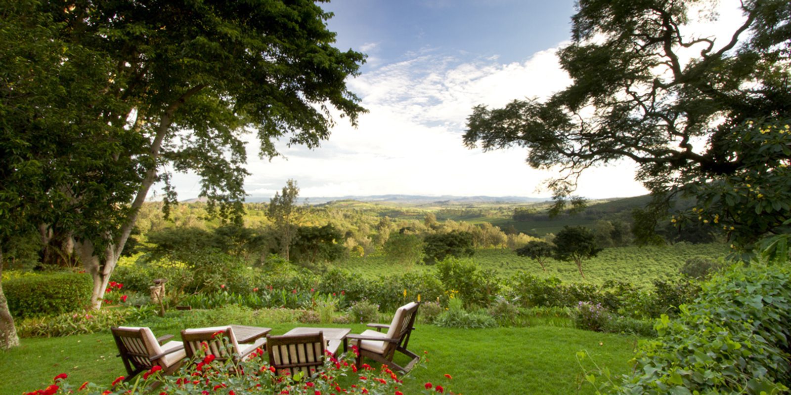 chairs set up in a green field overlooking a view with trees