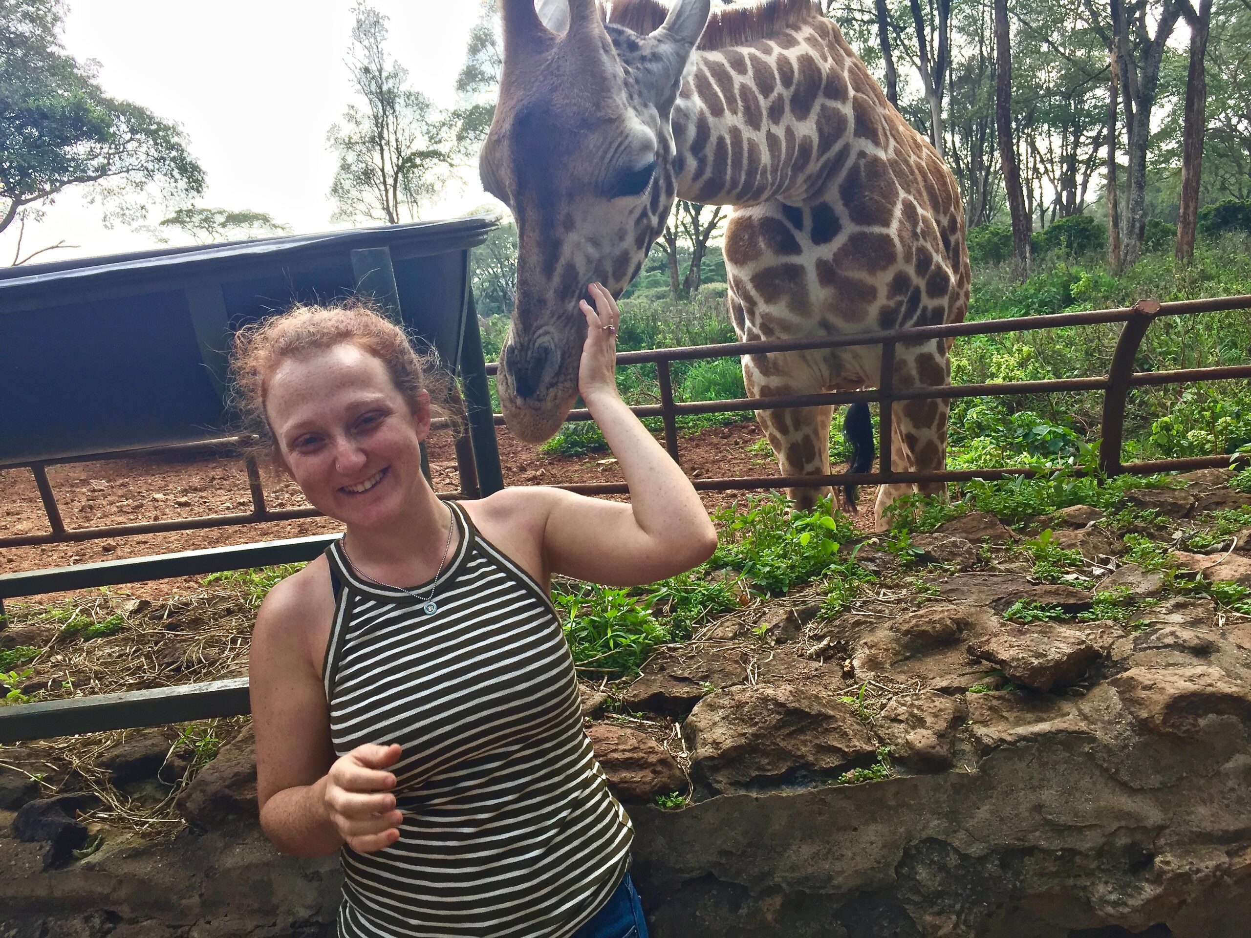 Traveling Solo to Africa and loving it!, Meeting Giraffe