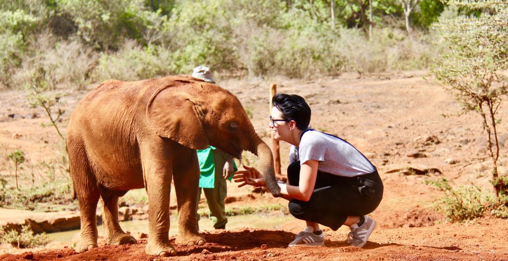 hug fun elephant