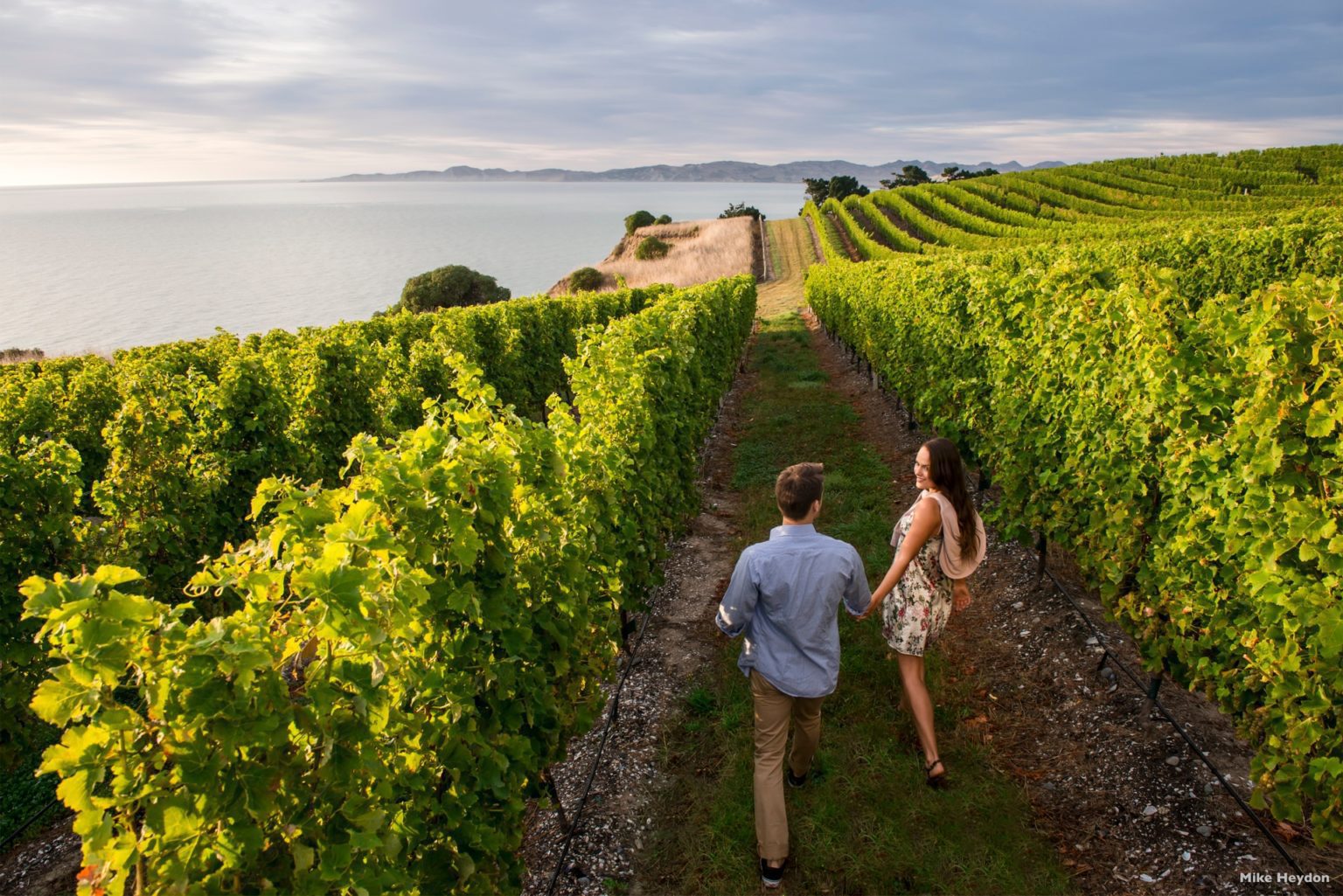 Blenheim Marlborough couple exploring vineyard on New Zealand's South Island tour