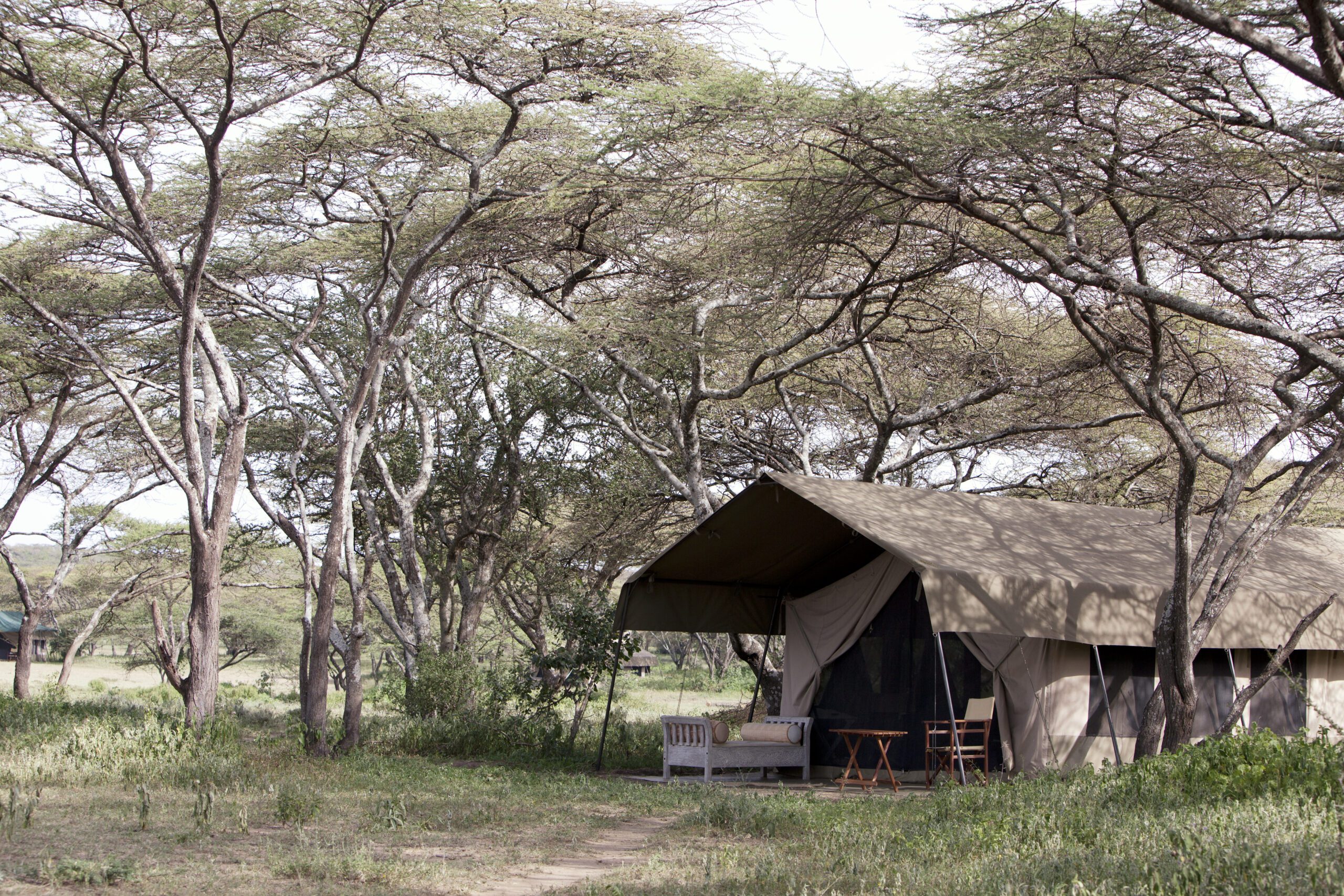 Our Top 5 Mobile Camps to Experience the Great Migration