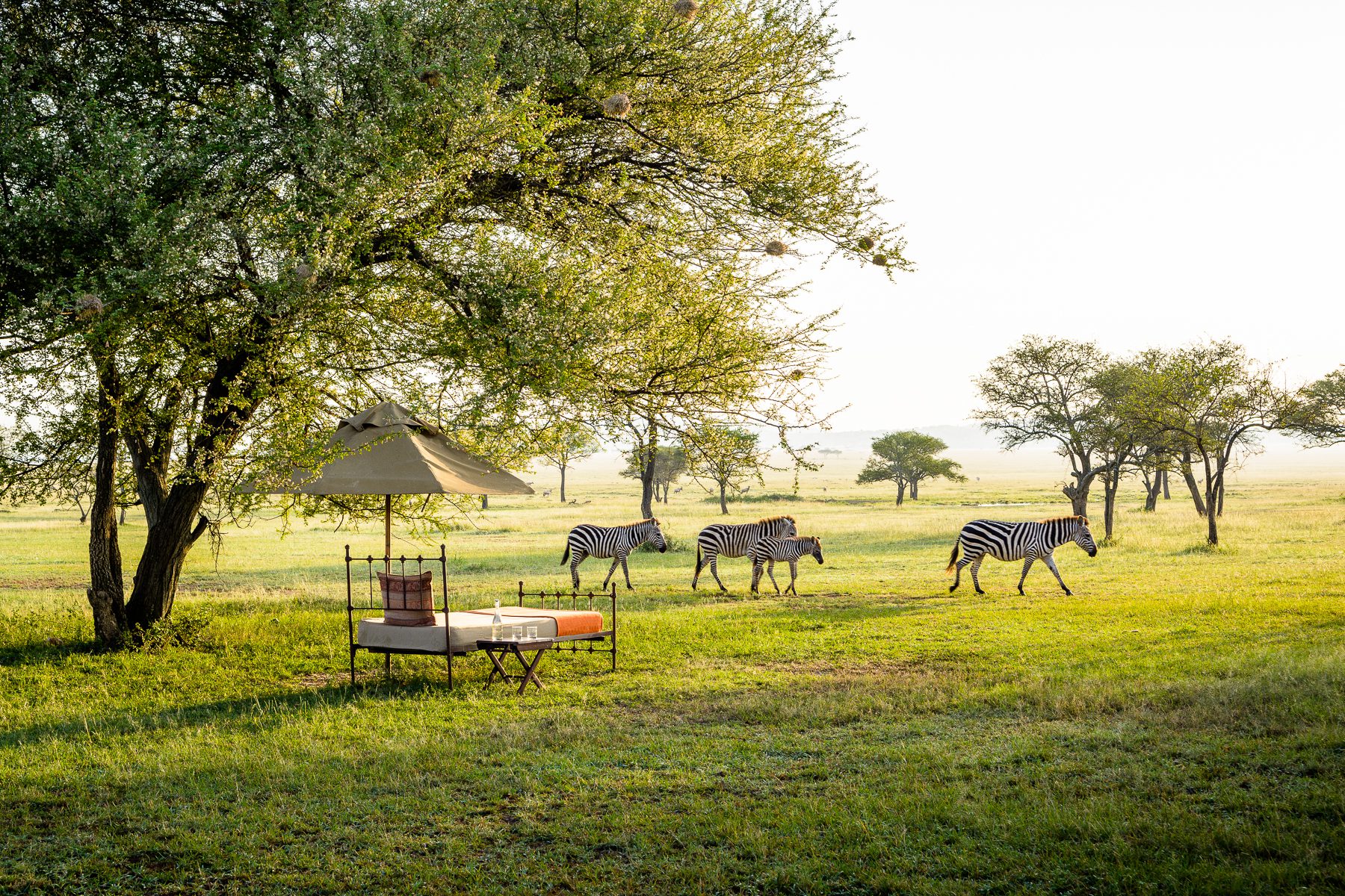 Best way to see the Great Migration, private luxury mobile safari camp –  The Explorations Company