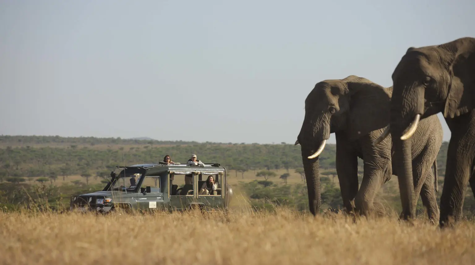 game drive at kicheche valley with people in a safari vehicle admiring a large elephant