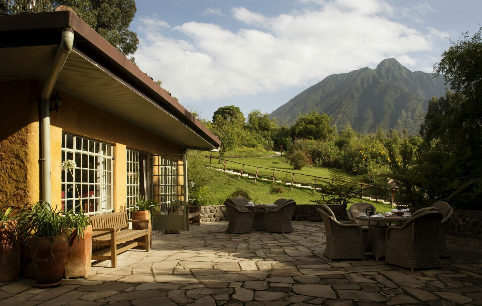 on Rwanda safari yellow cottage at sabyinyo silverback positioned to look at the mountains