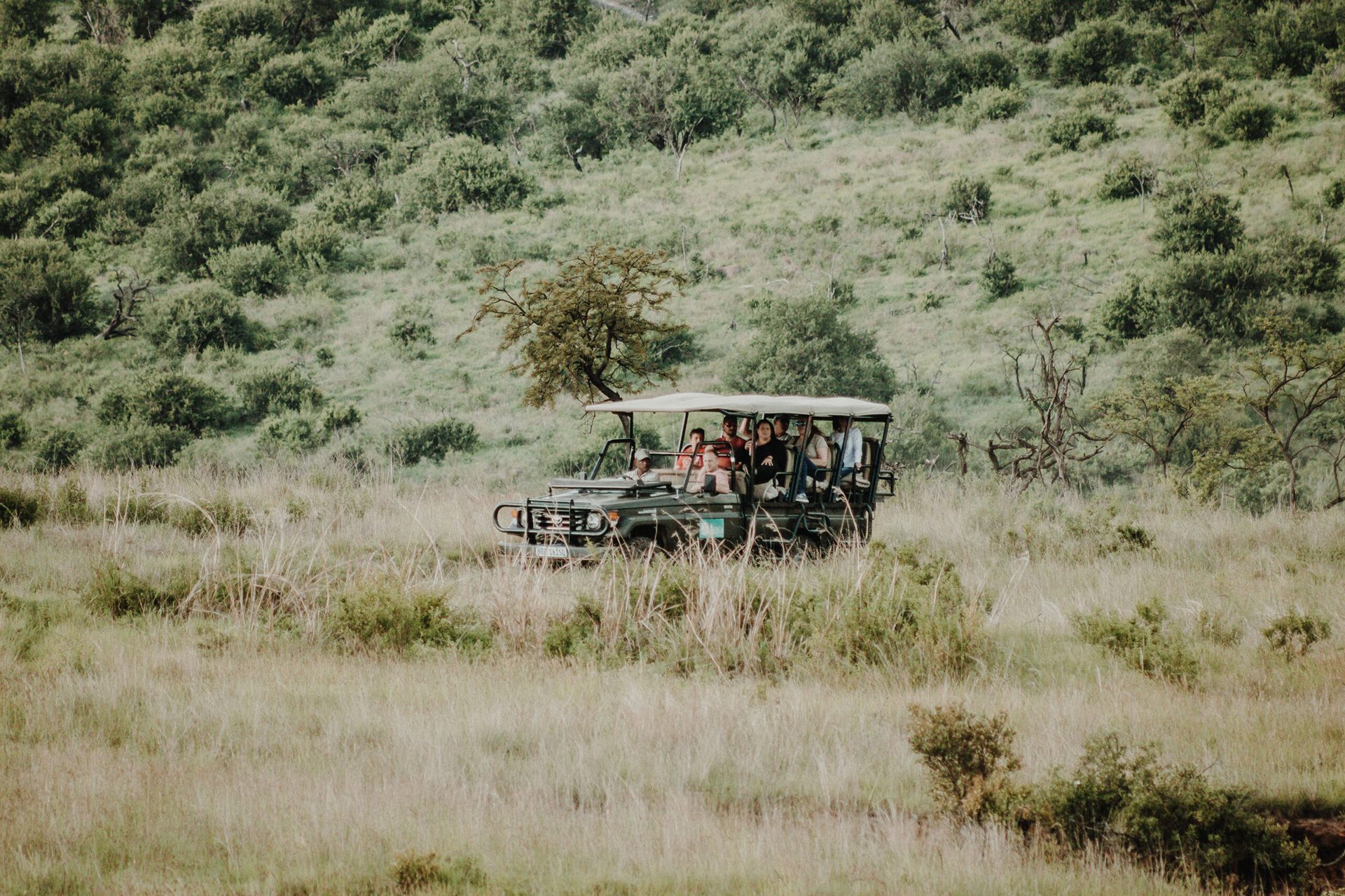 a group of people riding on the back of a green bus.