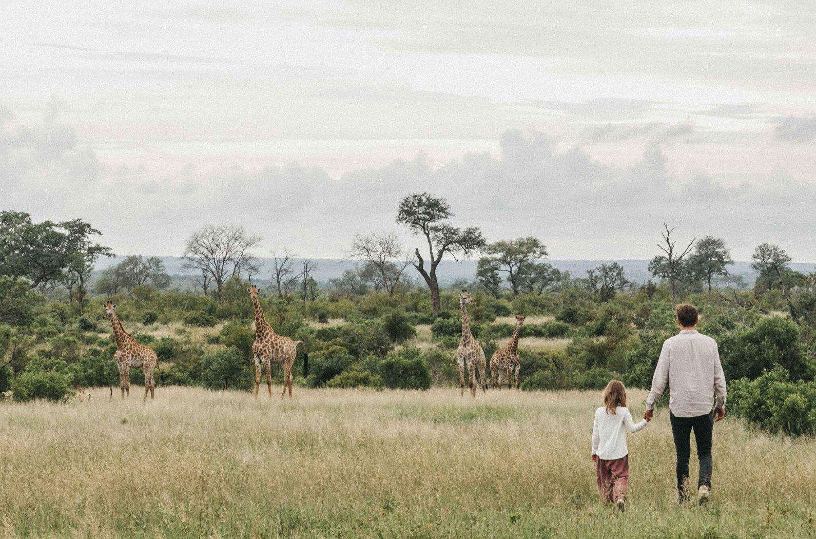 3 Tips for Planning the Perfect Family Safari, Giraffe in the Wild